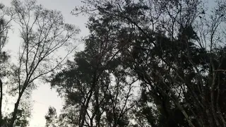 Superbowl LV flyover from Backyard.