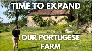Renovating Our Portuguese Stone House But First Let’s Finish Our Barn….