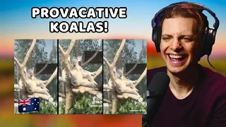 American Reacts to Quintessentially Aussie Memes!