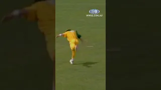 Incredible Mark Waugh backhand flick runout! 🏏 #shorts #Cricket #9WWOS