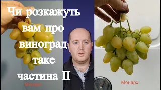 Чи розкажуть вам про виноград таке частина друга