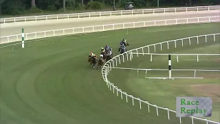 Tampa Bay Downs Live Stream