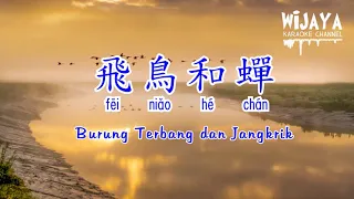 飛鳥和蟬 (伴奏) Fēi Niǎo Hé Chán (Burung Terbang dan Jangkrik) No Vocal