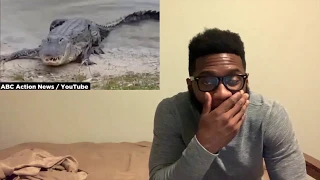 10 Videos With Endings You'll Never Guess REACTION!!!!