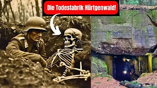 Die Bunker im Hürtgenwald