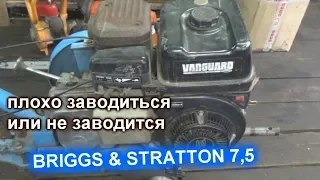 ТАКОЙ ПОЛОМКИ Я НЕ МОГ ОЖИДАТЬ Briggs & Stratton 7,5