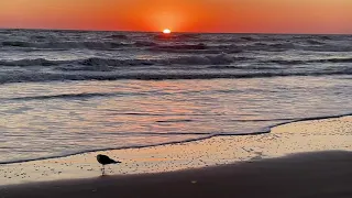 Sunrise at South Padre Island Gulf of Mexico - 4K video