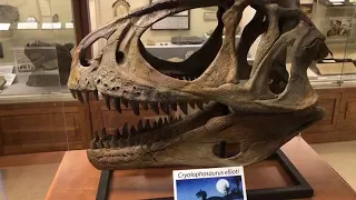 Orton Geological Museum Tour