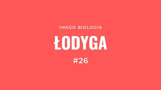 Łodyga