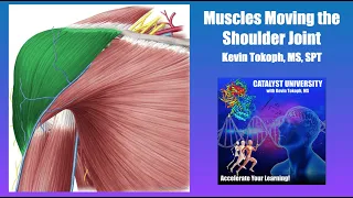 Muscles that Move the Glenohumeral Joint | Origin, Insertion, Action, & More