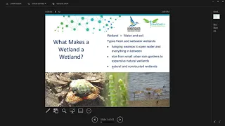 Essential Design Components for Urban Constructed Wetlands webinar