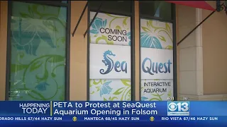 PETA Supporters Expected To Protest Opening Of New Folsom Aquarium