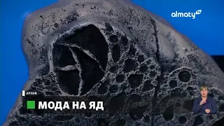 Дорога в никуда: как избавиться от вредной для здоровья привычки