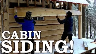 Building Cabin from Scratch with Portable Sawmill! | 80-Year Old Tree into Siding
