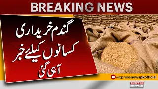 Wheat import scandal: Initial report ‘reveals’ shocking details | Breaking News | Latest News