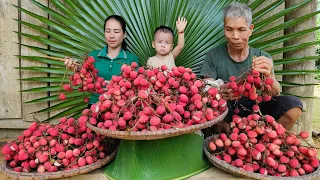Harvest fruit ripe red lychees to sell - Build a garden | Tin's Daily life