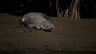 WELCOME TO CROCODILE TERRITORY, PLEASE BE CROCWISE