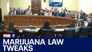 Minnesota lawmakers finalize tweaks to cannabis law [RAW]