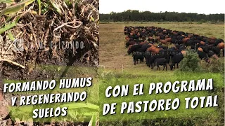 Formando humus y regenerando suelos con el Programa de Pastoreo Total (Jaime Elizondo) 🐃 🐂 🐄🌎