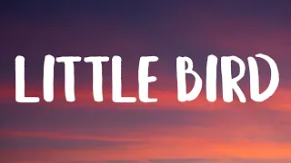 Jonas Brothers - Little Bird (Lyrics)