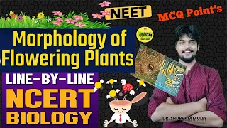 Morphology of Flowering Plants | |ONE SHOT | RAPID NCERT LINE TO LINE QUICK REVISION | DR. SHUBHAM M