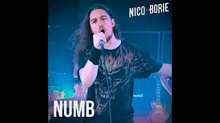 NICO BORIE - NUMB (Versión En Español) HQ