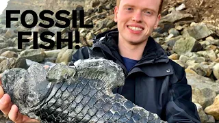 Fossil Fish! HUGE Squid, Ichthyosaur Paddle Preparation! 3 Days Outdoor Hunt! | Fossil Hunter