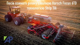 Як налаштовувати сівалку Horsch Focus? Посів озимового ріпаку сівалкою Horsch Focus 6TD - Strip Till