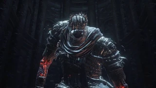 Dark Souls 3 - Onionbro and Ornstein vs Yhorm the Giant