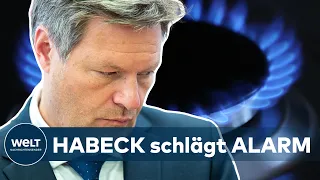 NOTFALLPLAN GAS: Wirtschaftsminister Robert Habeck wird wohl Gas-Alarmstufe ausrufen | WELT Thema