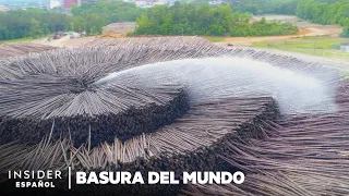 Cómo la mayor papelera del mundo fabrica 1/3 de las cajas de Estados Unidos | Basura del Mundo