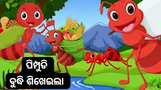 ପିମ୍ପୁଡି ବୁଦ୍ଧି ଶିଖେଇଲା || ଜଙ୍ଗଲ ଗପ || ଓଡ଼ିଆ cartoon ||