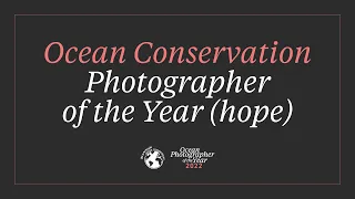 Ocean Conservation Photographer Of The Year (Hope & Impact) - 2022
