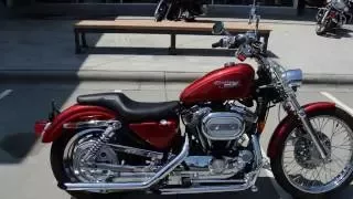 1998 Harley-Davidson XL1200C Custom Sportster (218635)