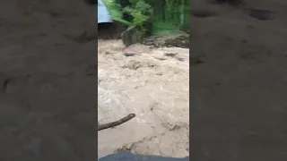 В Туркестанской области из-за сильного дождя размыло четыре моста