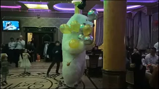 Белый мишка Умка поздравляет