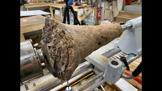 Woodturning - The Palm Tree Root !!