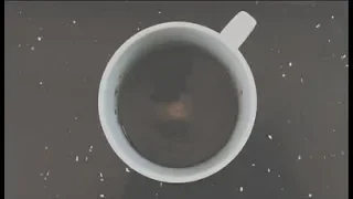 a cup of coffee. || short film by bree