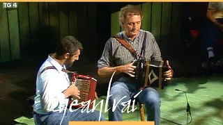 John Brosnan & Breanndán Ó Beaglaoich | Amharclann na Gráinsí, Corcaigh | Geantraí 1996 | TG4