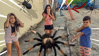 AS ARANHAS INVASORAS! the giant invading spiders | TURMA DA BAGUNÇA