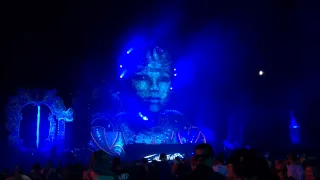 Evil Activities at Tomorrowland 2015 (Q-dance stage)