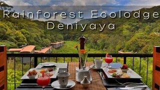 The Rainforest Ecolodge - Sinharaja - Deniyaya