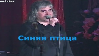 Мамина пластинка Синяя птица