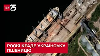 🌱😨 40 мільйонів доларів на краденому зерні – Росія продає Сирії українську пшеницю - ТСН