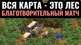 Forest Nothing: Собрали $3000 на благотворительность. Вся карта - это Лес в Age of Empires 2