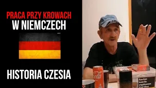 Praca Przy Krowach w Niemczech - Historia Czesia Oraz Pracodawcy Oszusta