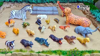 Carnivore Herbivore & Omnivore Animals Stuck in Mud | Fun Learning for Kids | Kidiez World TV