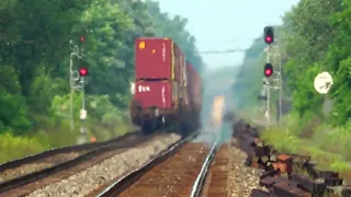 CSX Train w Barking Seals Being Followed By CSX Train! Also: We Chase a NS BNSF Train! + More Trains