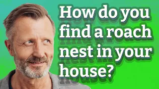 How do you find a roach nest in your house?