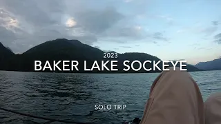 2023 Baker Lake Sockeye Salmon